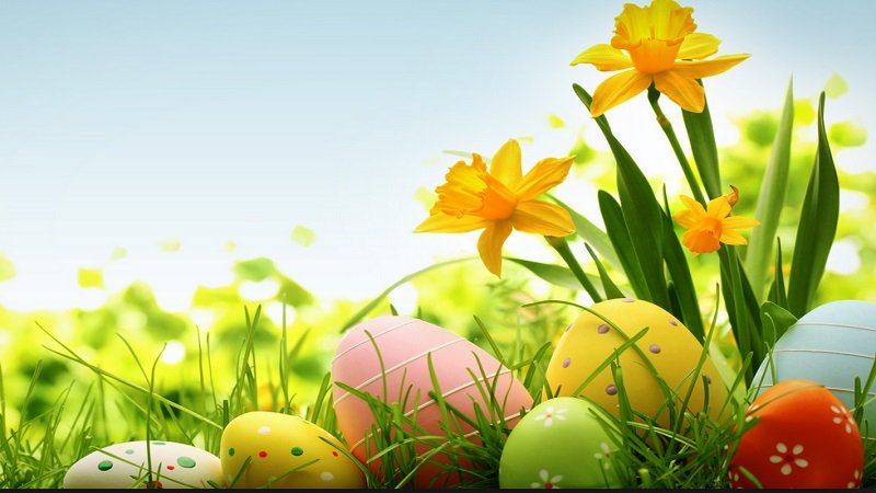 ПРОЉЕЋНИ РАСПУСТ