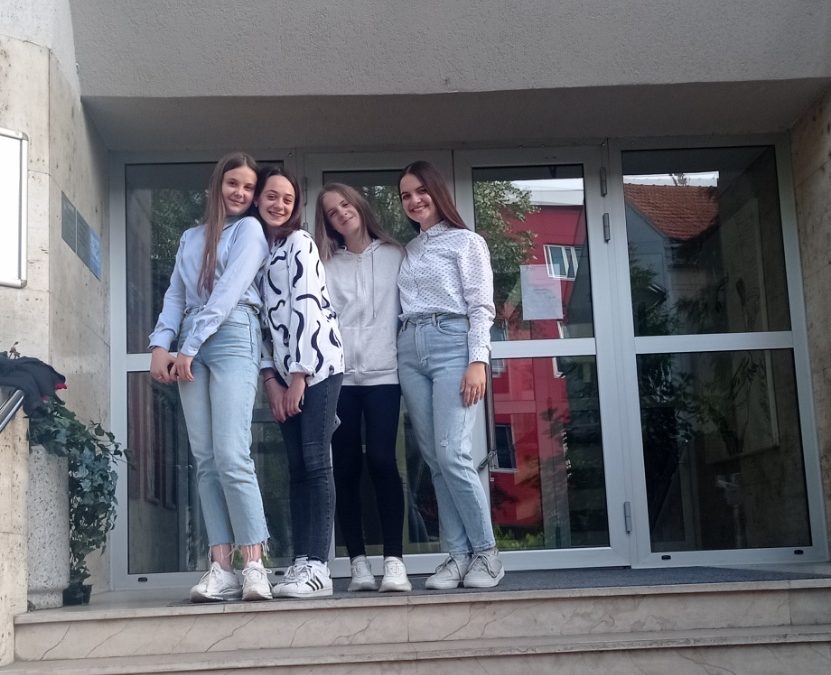 СВИ СМО МИ ДЕСАНКИНА ДЈЕЦА