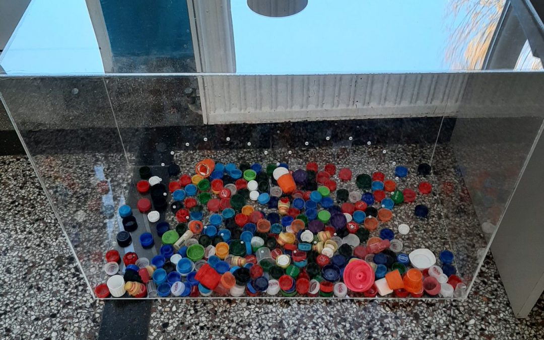 ХУМАНИТАРНО-ЕКОЛОШКИ ПРОЈЕКАТ„ЧЕПОМ ДО ОСМИЈЕХА“