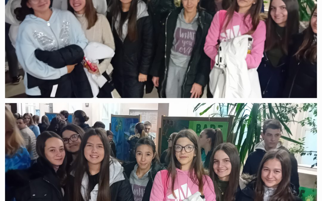 Фестивал стваралаштва „Анита Саватовић“