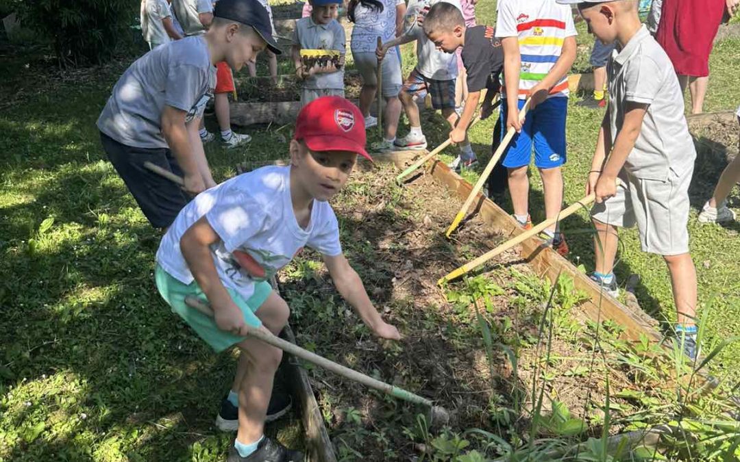 ПОСЈЕТА БОТАНИЧКОЈ БАШТИ
